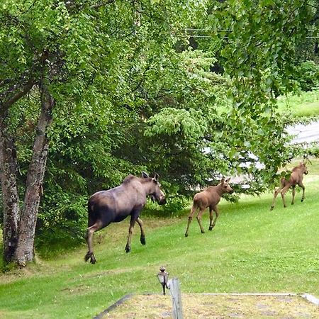 Halcyon Heights B&B/Inn Homer Bagian luar foto