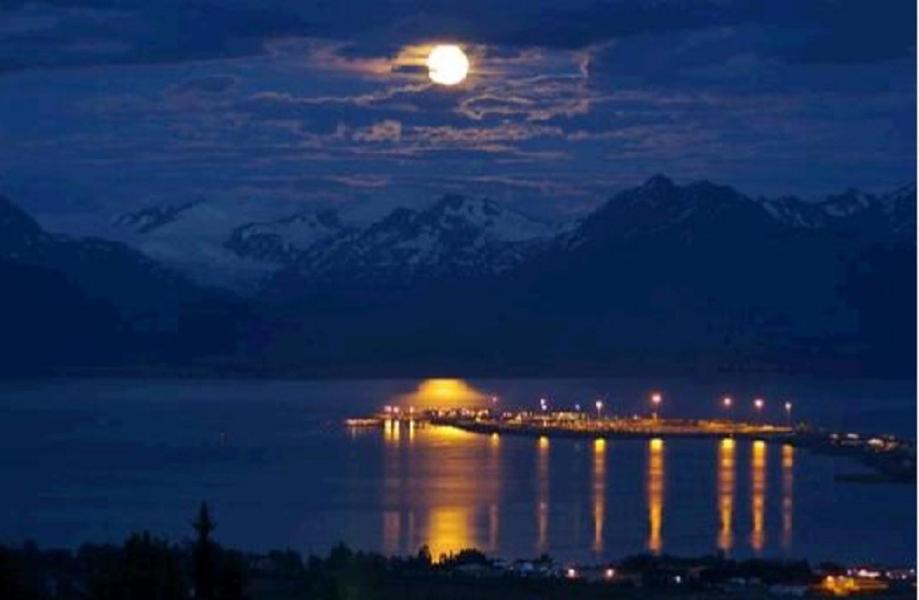 Halcyon Heights B&B/Inn Homer Bagian luar foto