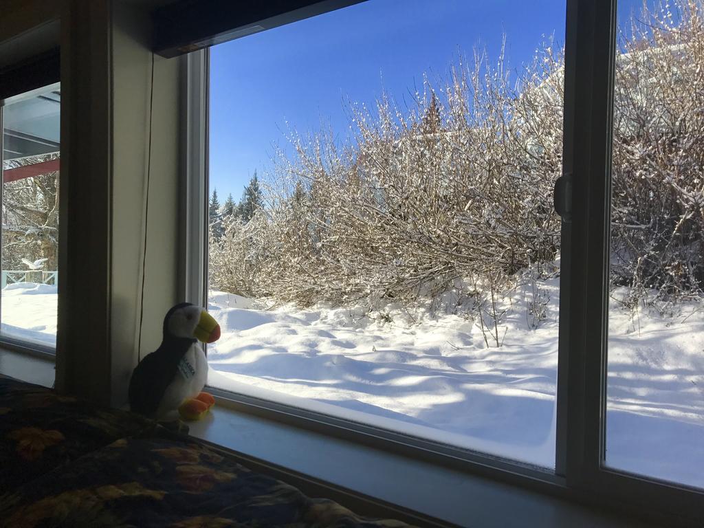 Halcyon Heights B&B/Inn Homer Bagian luar foto