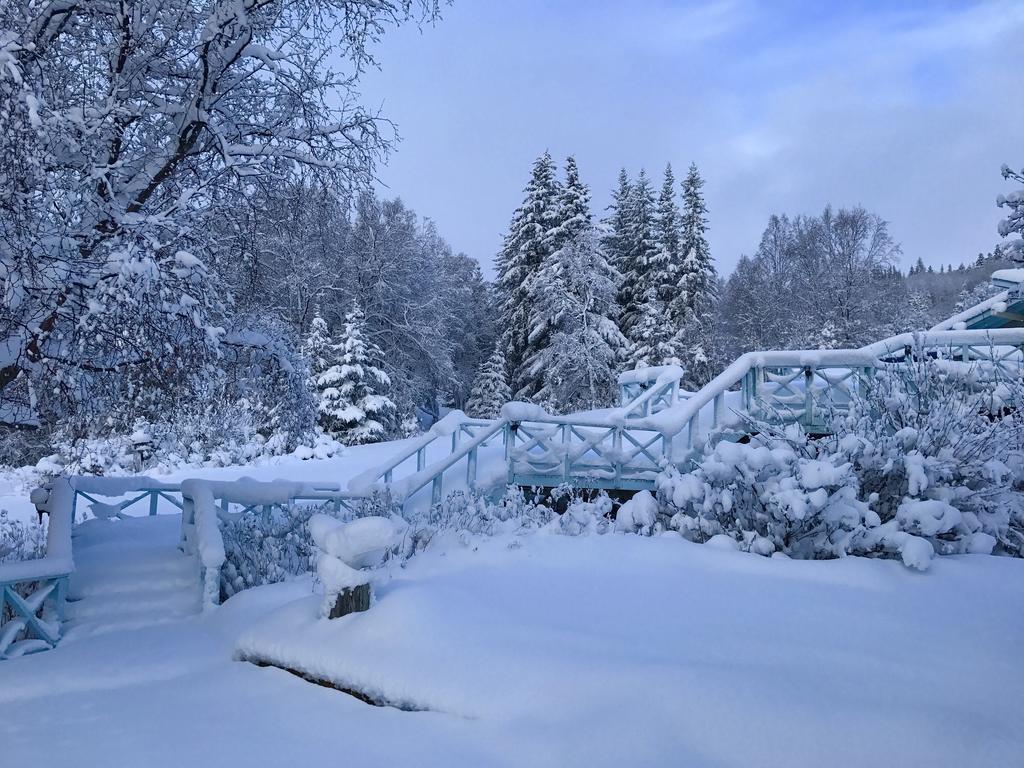 Halcyon Heights B&B/Inn Homer Bagian luar foto