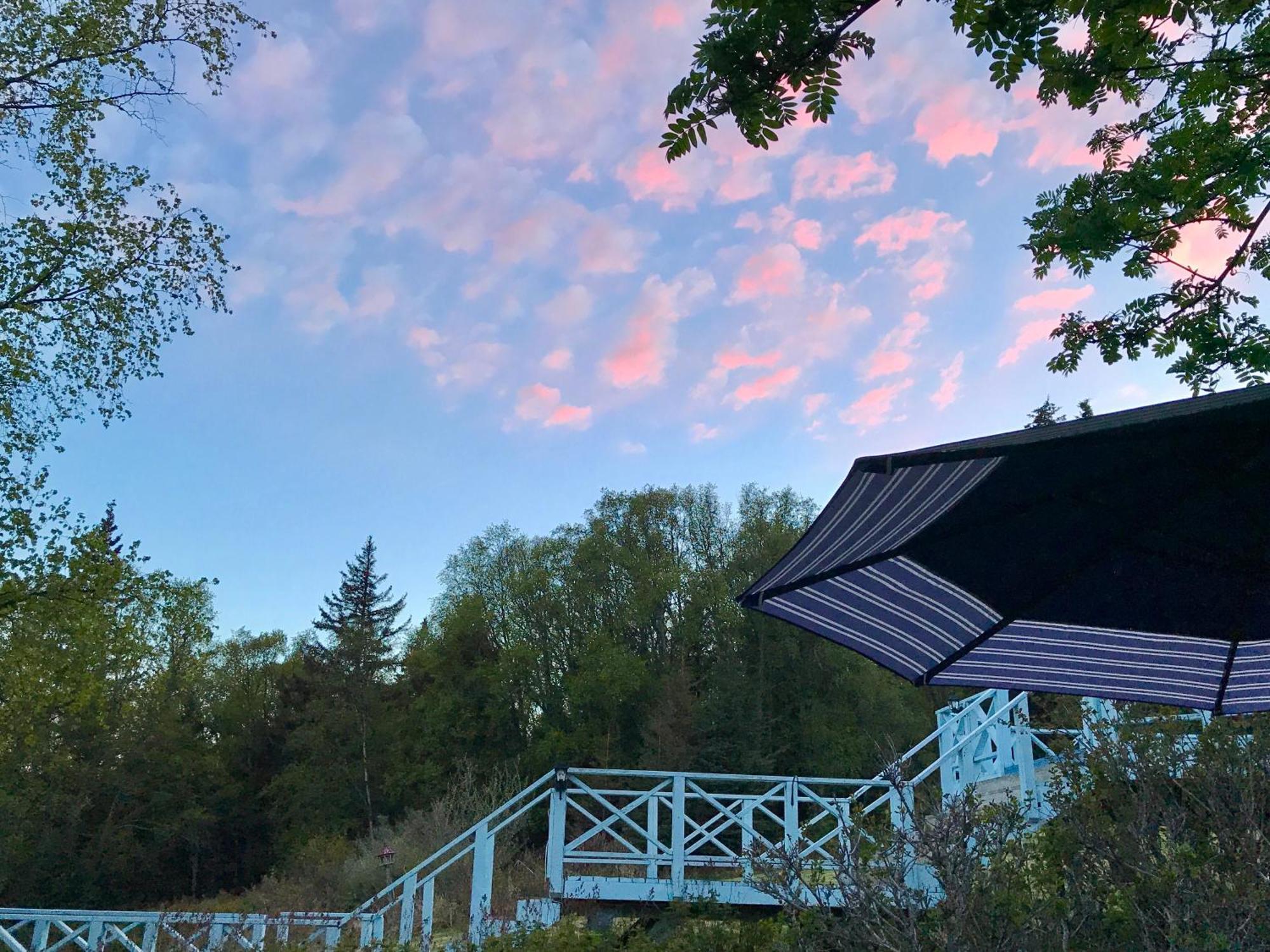 Halcyon Heights B&B/Inn Homer Bagian luar foto