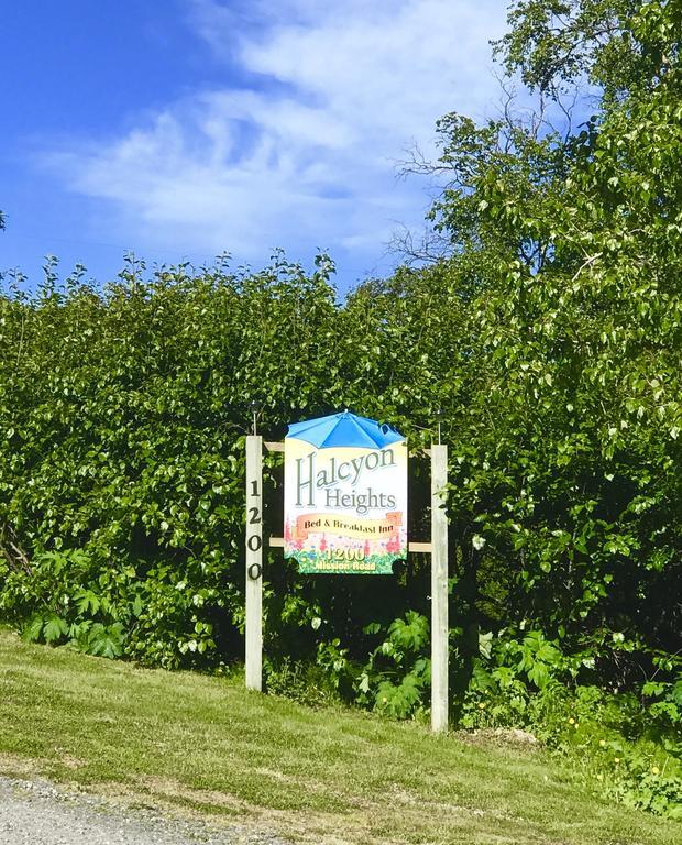 Halcyon Heights B&B/Inn Homer Bagian luar foto