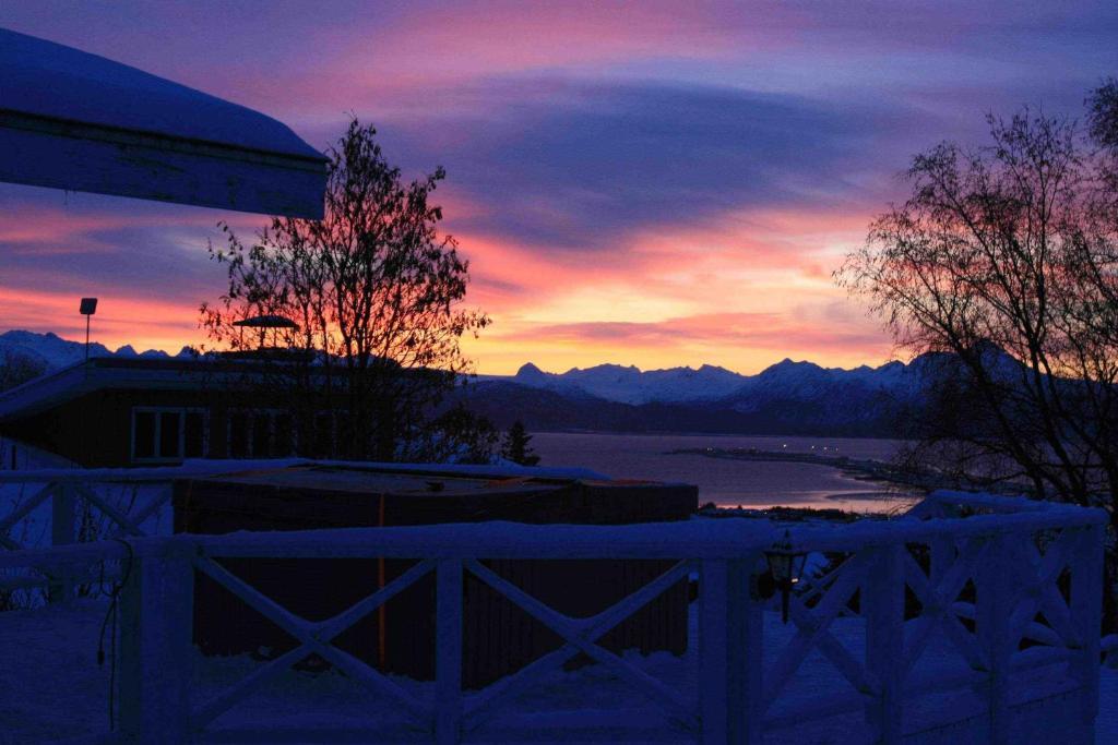 Halcyon Heights B&B/Inn Homer Bagian luar foto